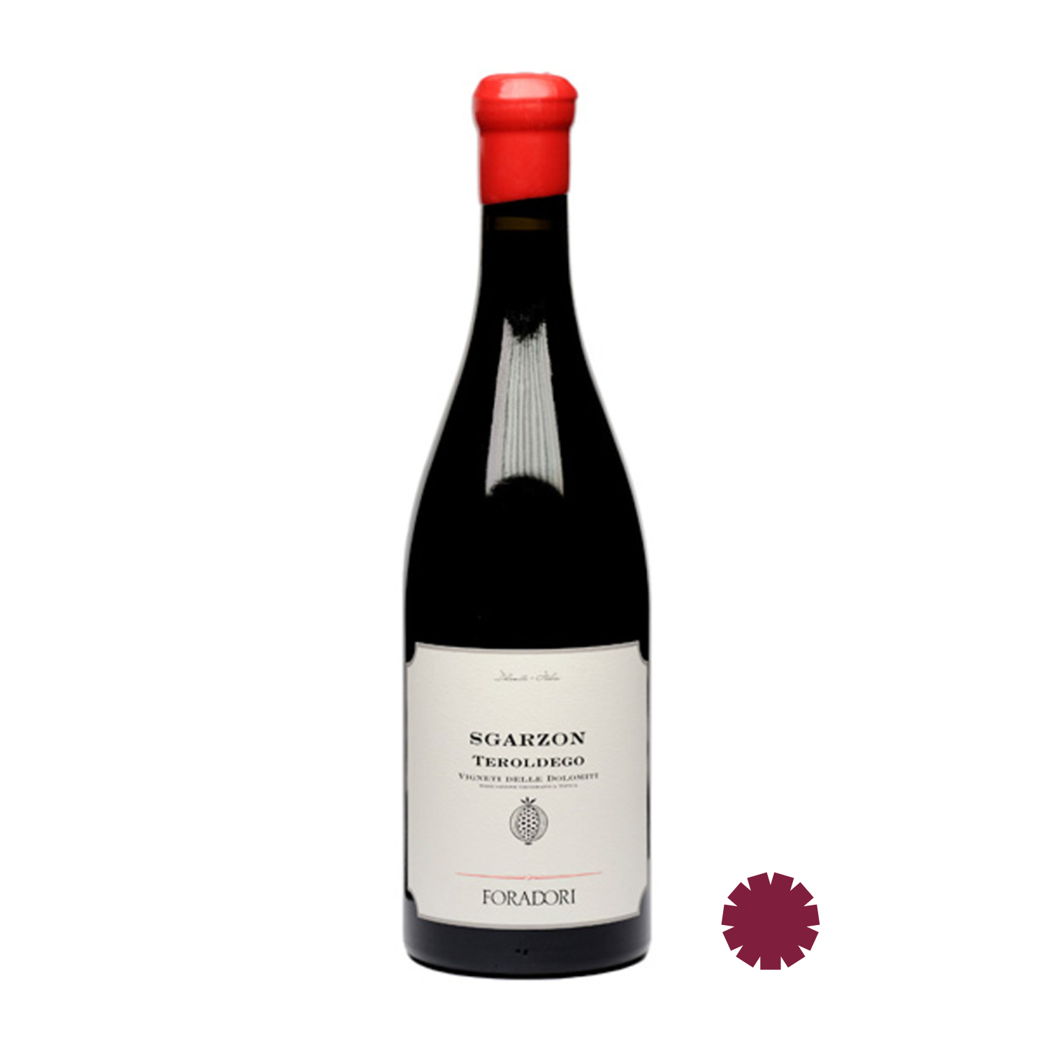 Rotwein Trentin Amphorenwein