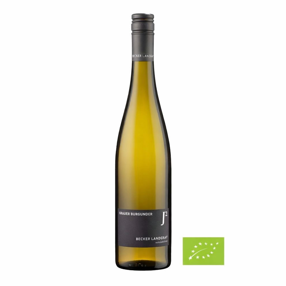 Grauburgunder 2024