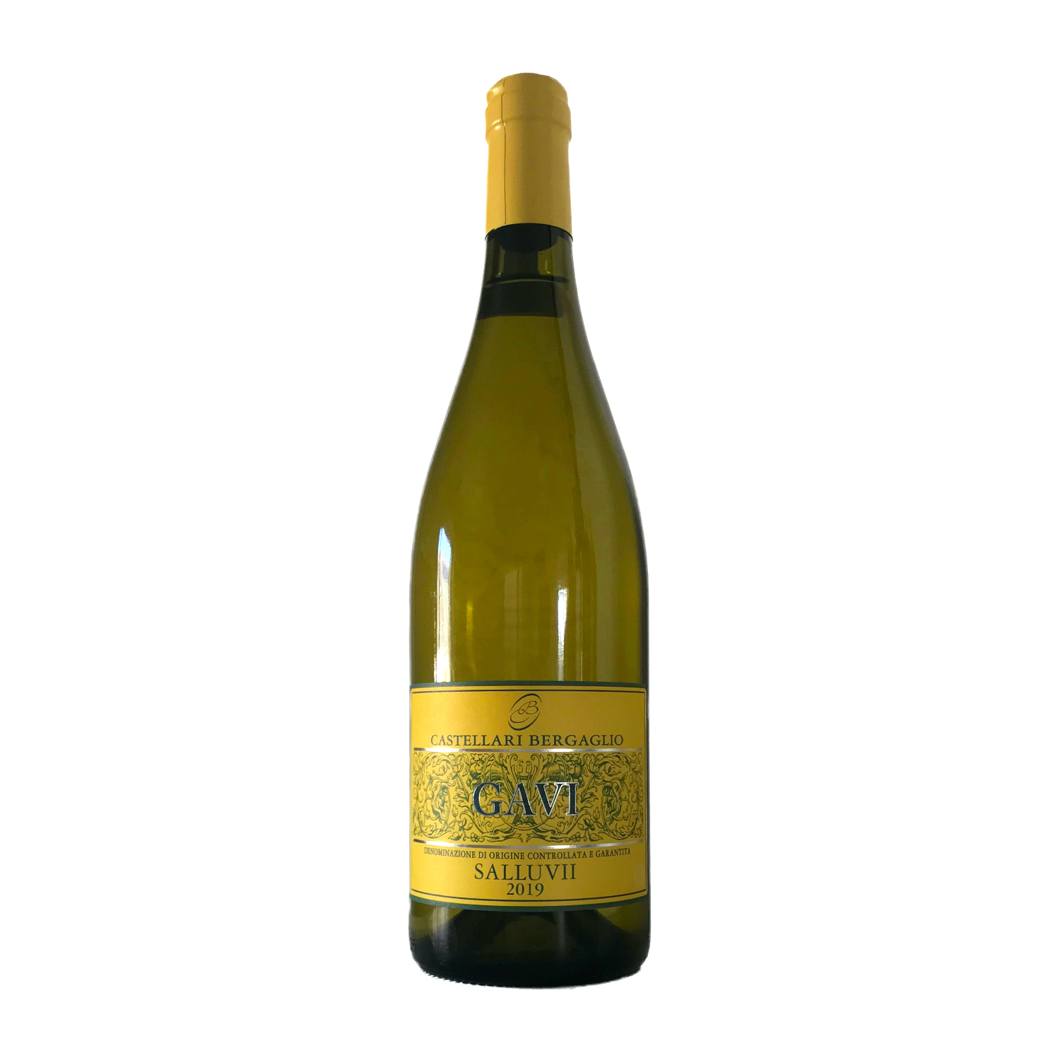 gaviREwSVPCSO5rON Gavi Saluvii 2023