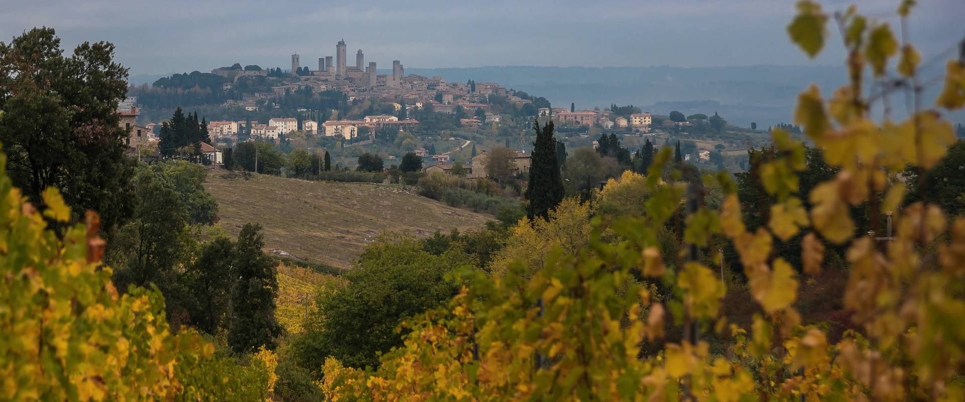 wein aus italien quer