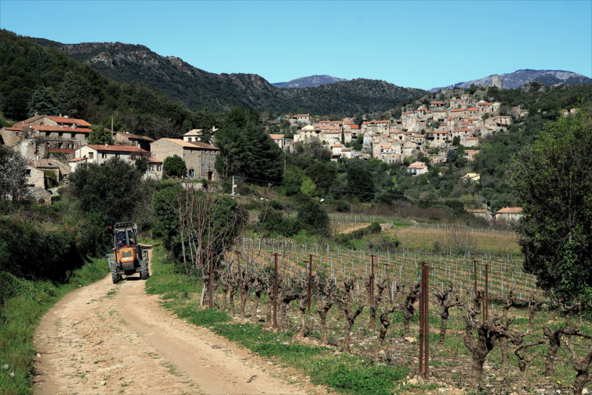 wein aus frankreich mobil