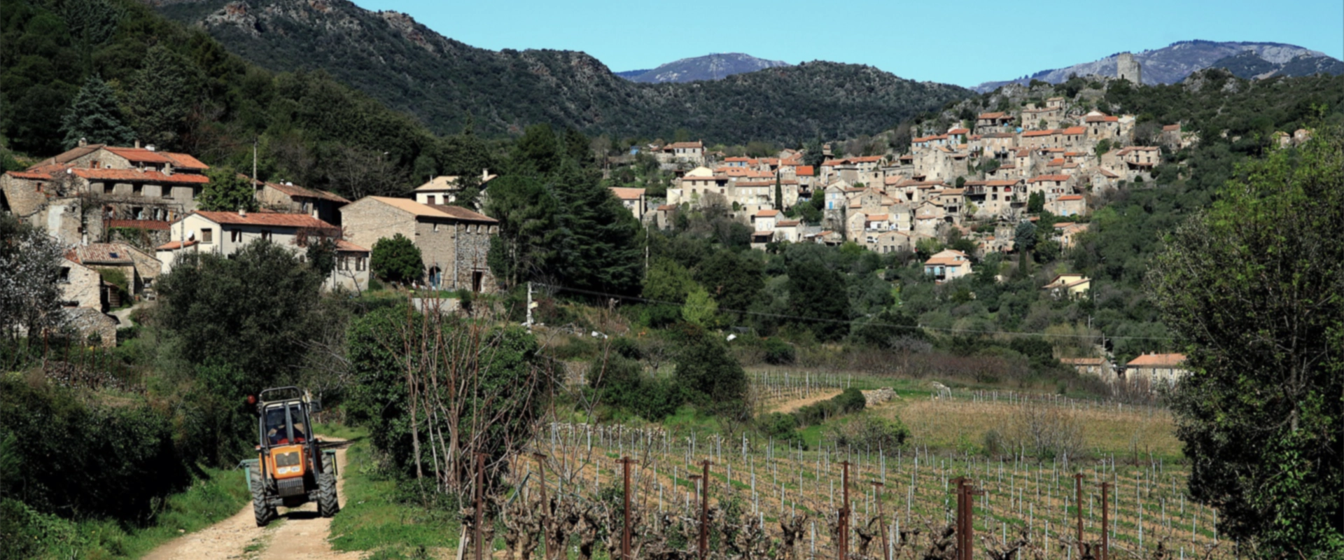 wein aus frankreich desktop wein aus frankreich desktop