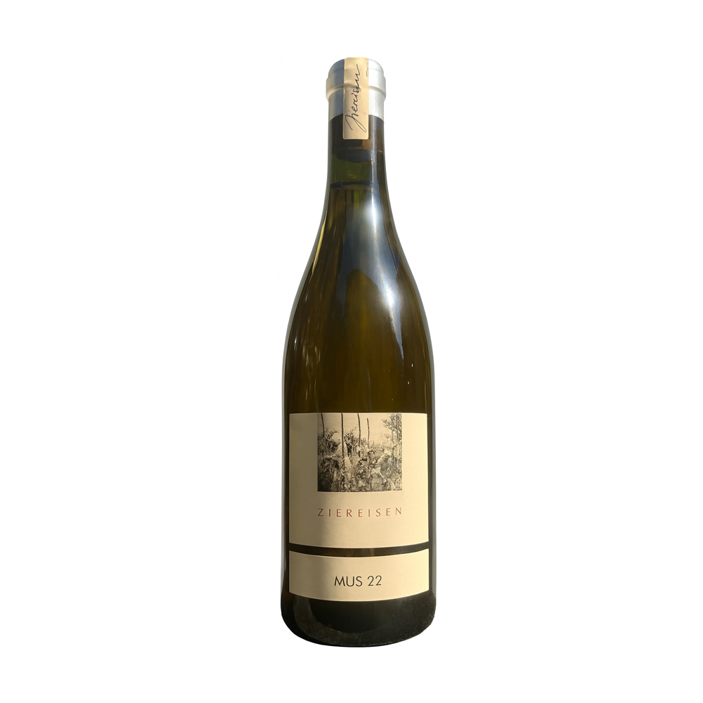 Grauer Burgunder MUS 2022 ehemals Musbrugger